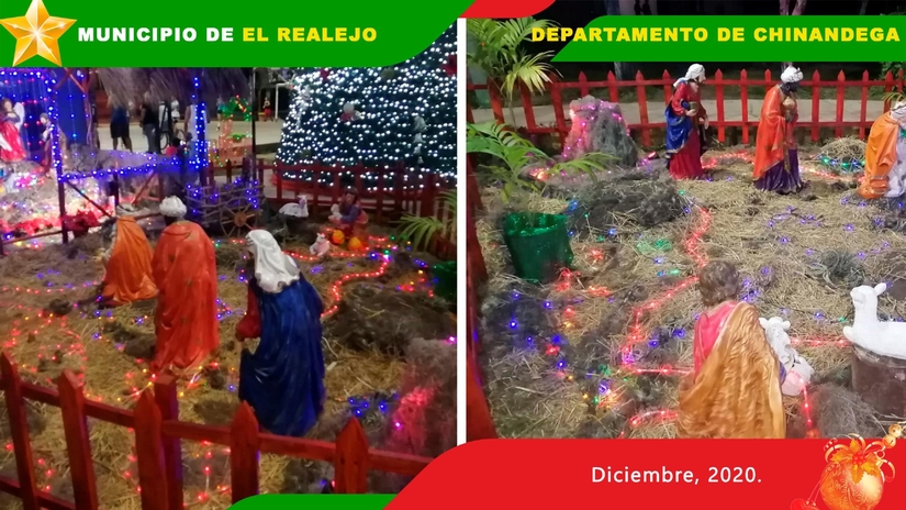 nacimientos-ganadores
